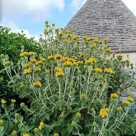 Вилла Trulli Del Sole